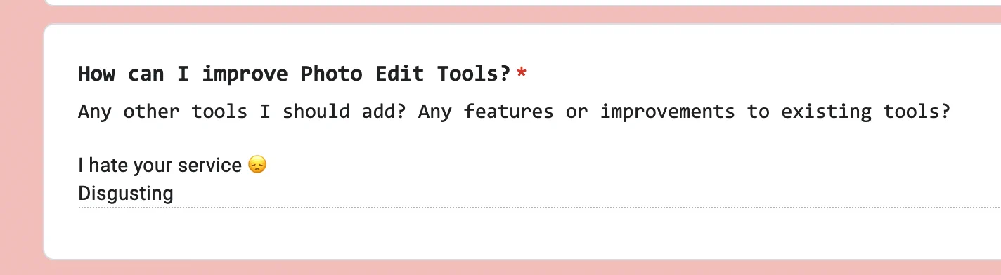 A screenshot of feedback I received saying PhotoEdit Tools is "disgusting" and they "hate my service"