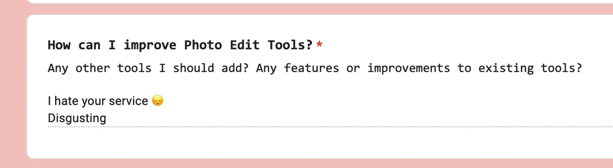 A screenshot of feedback I received saying PhotoEdit Tools is "disgusting" and they "hate my service"
