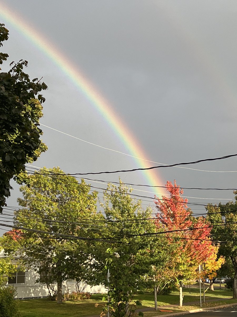 Mother Nature giving fall a helping hand