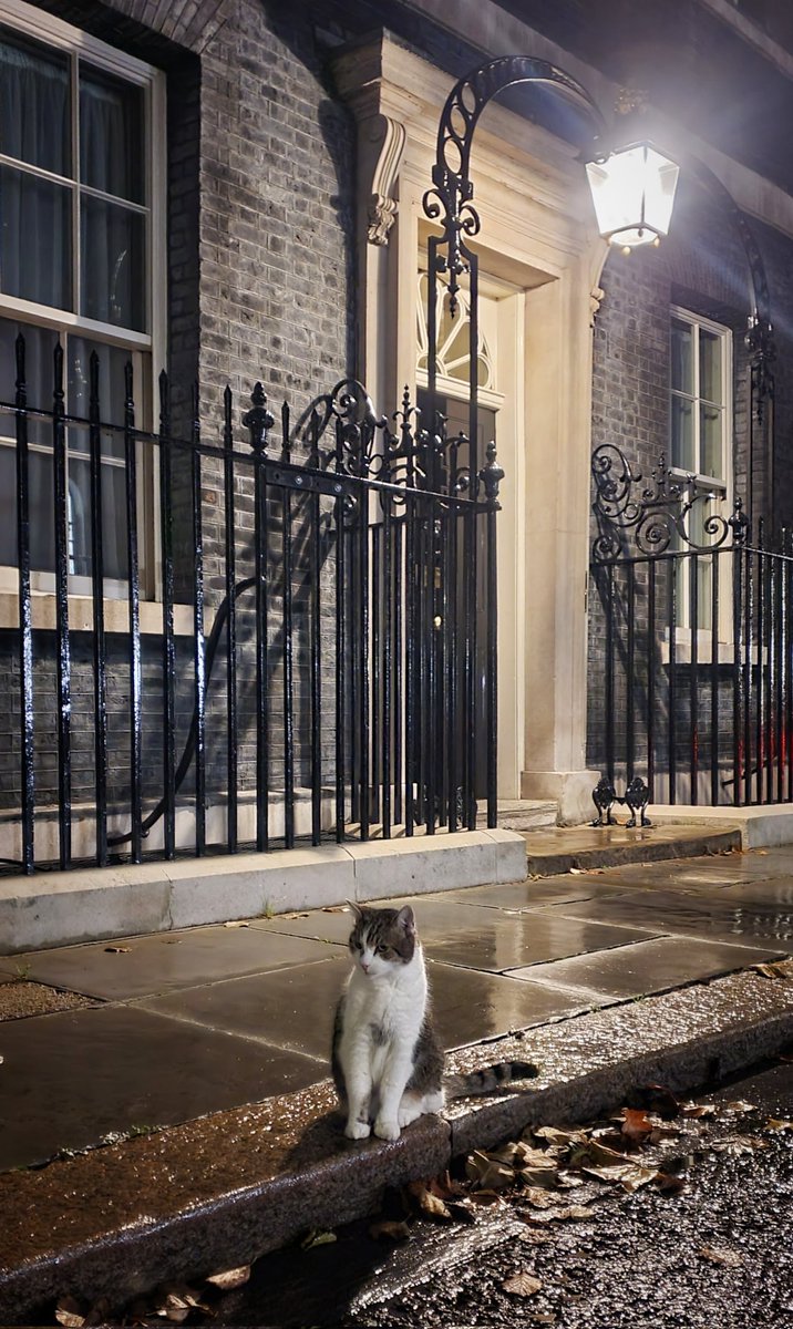 LightHackers's tweet photo. At ease Larry.. at ease.
@Number10cat https://t.co/eyjW3iRKBy