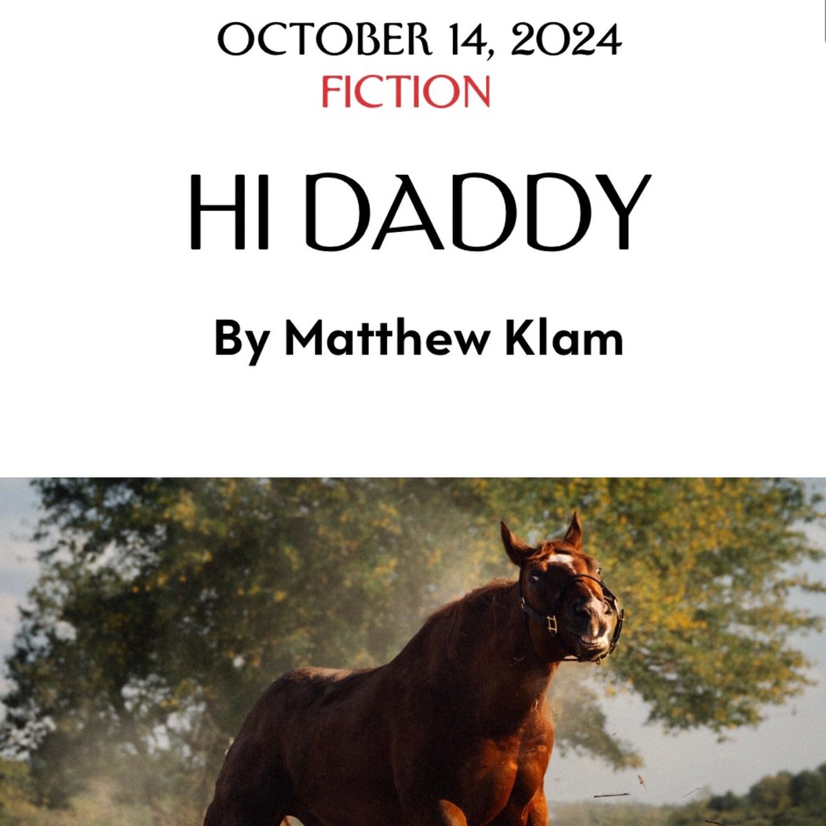 Matthew Klam tweet media