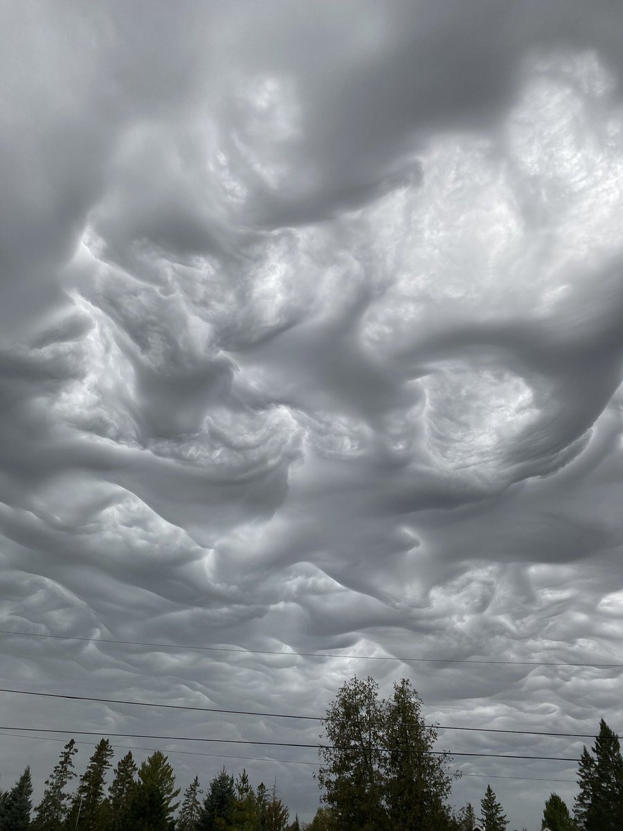 Laura Osorio tweet media