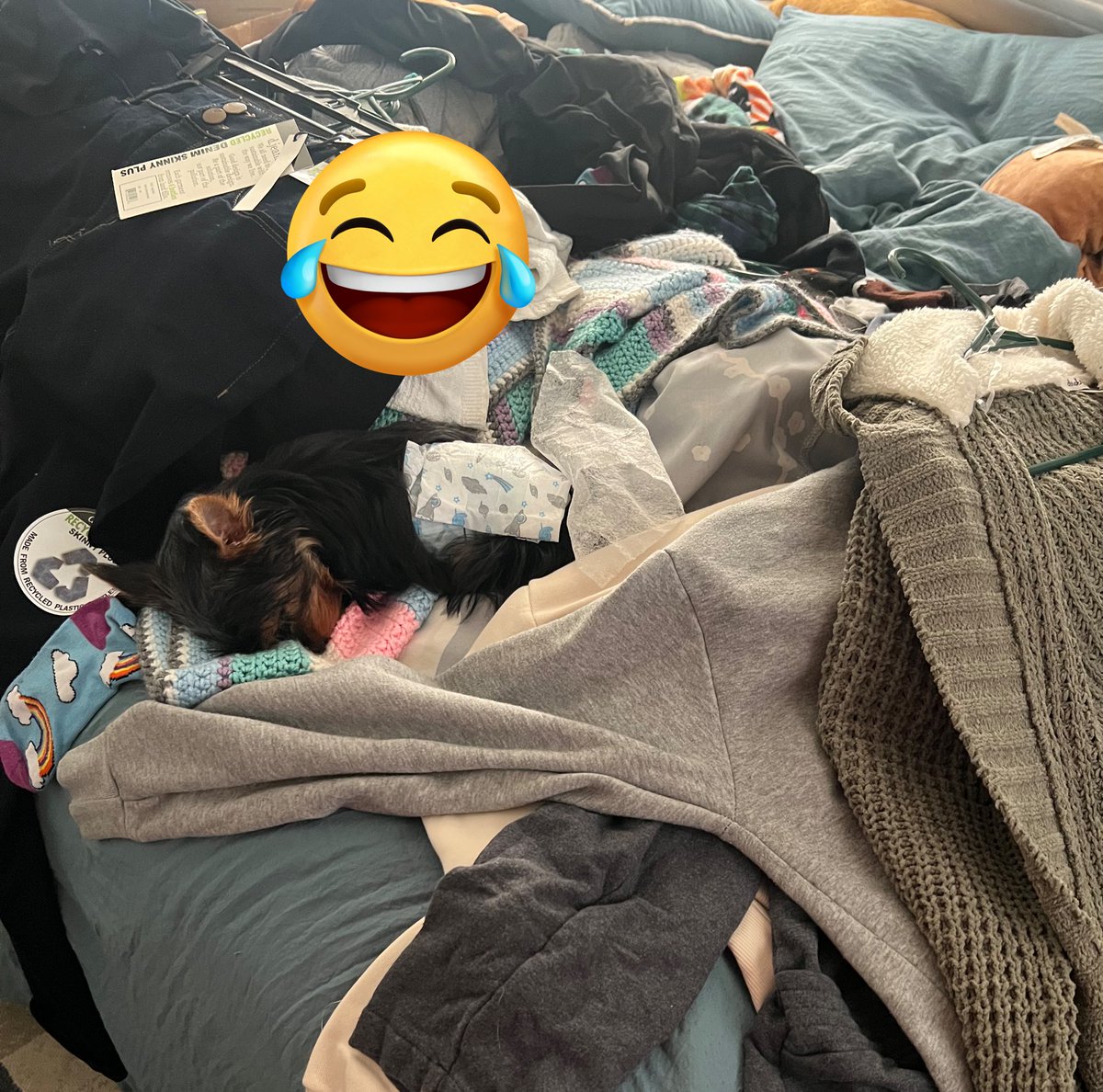TxxRedd's tweet image. Im tryna fold clothes but where is #Javabean 😂
