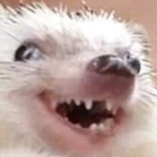 CarlCommunity's tweet image. $carl reminiscing about the good times