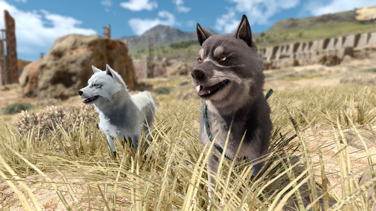 ClairCoult's tweet photo. Noctis, out walking the dogs.
Thanks to the latest version of Rinual's Mod Menu. https://t.co/umrgDI3MjR
#FFXV #Ff15 #FinalFantasyXV #Noctis #Umbra #Pryna https://t.co/uEW0deYQ0U