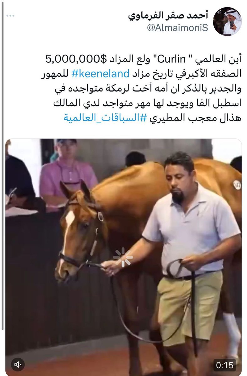 Aysh_Albati's tweet photo. ماشالله وباذن الله يعرض يوم الجمعه المالك هذال معجب المطيري مزاد ابوعبيد https://t.co/kSvmArXbl3