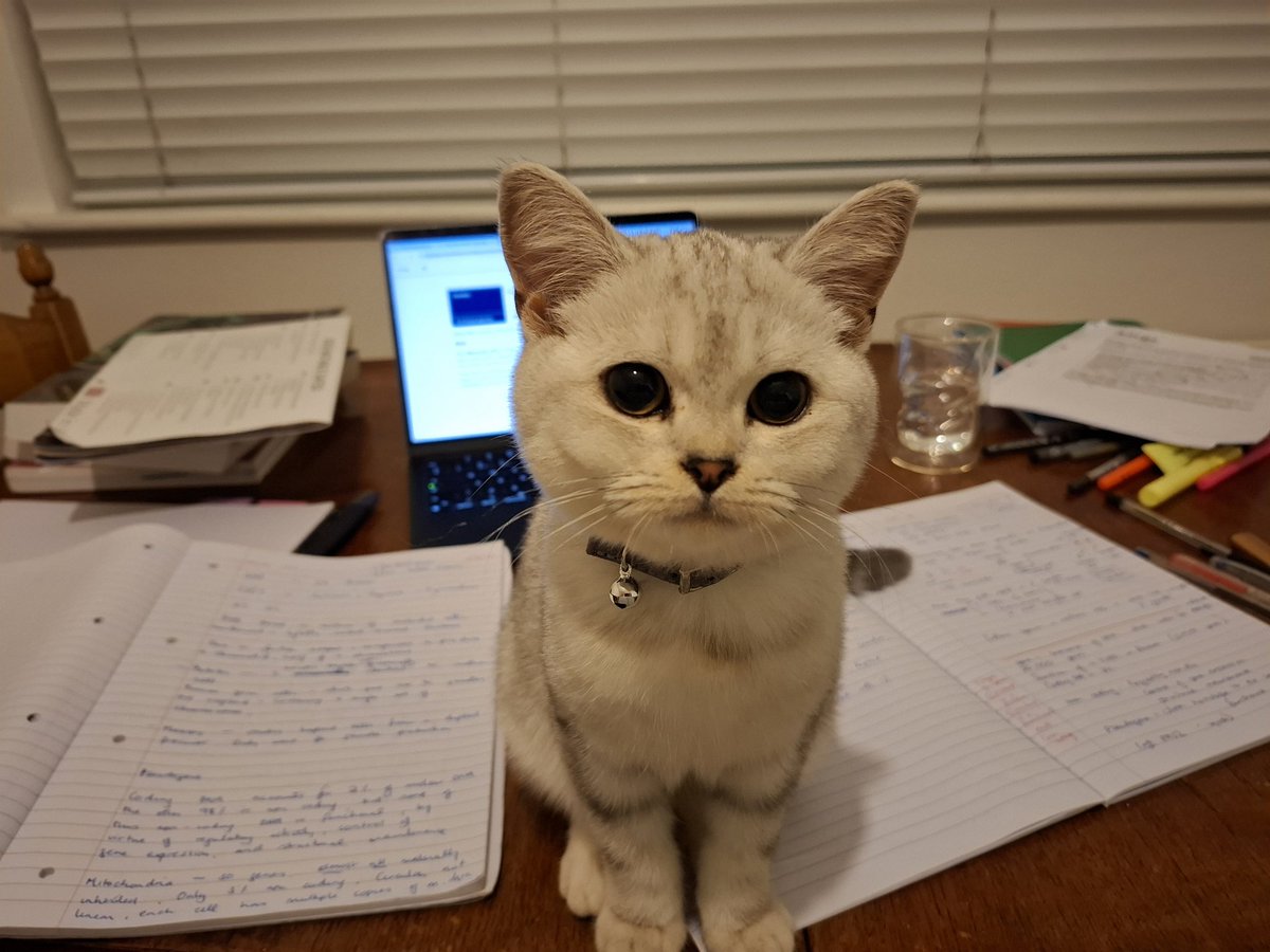 Jillian Coll tweet media