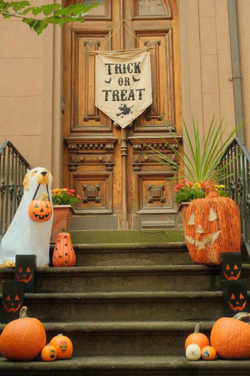 Andrea Mestre tweet media