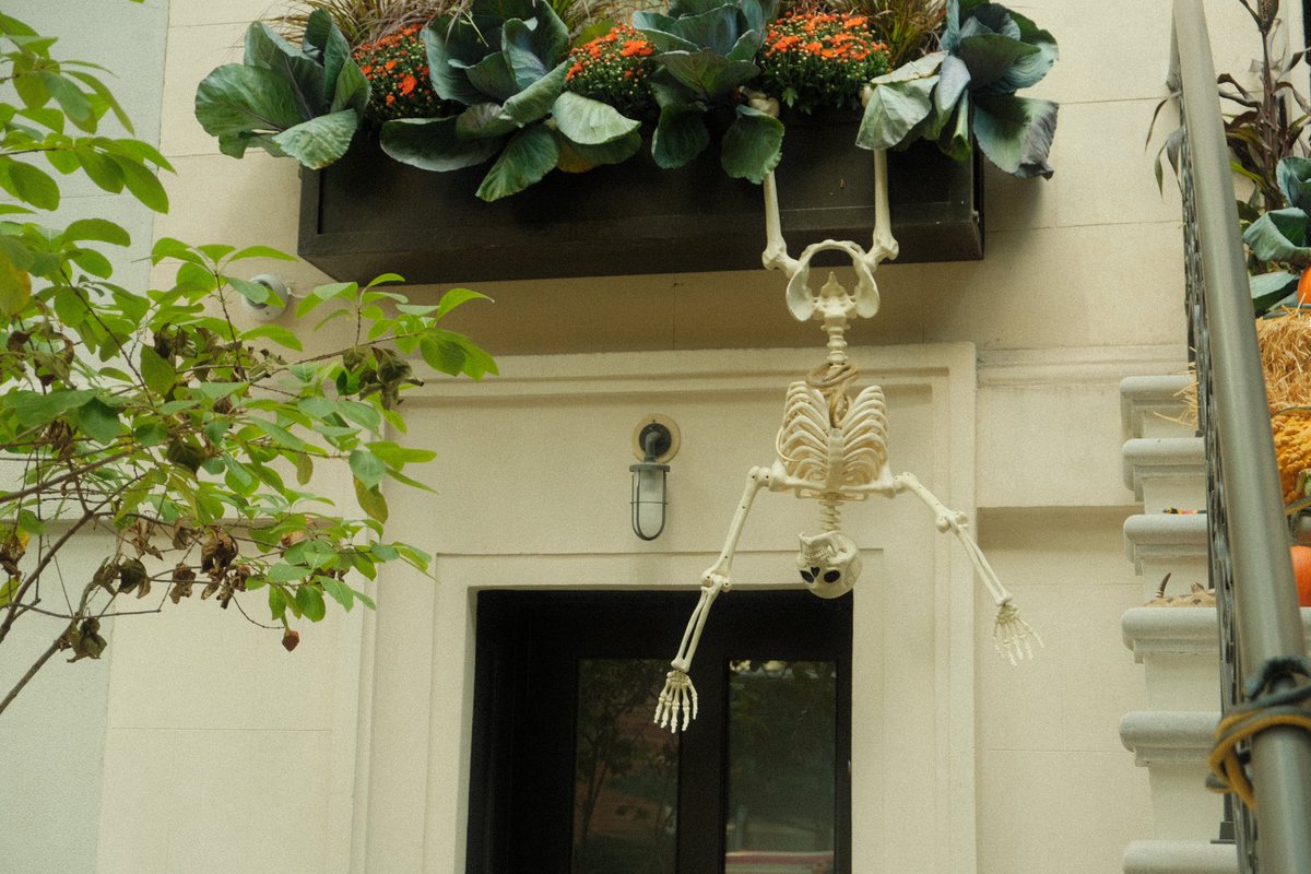 Andrea Mestre tweet media