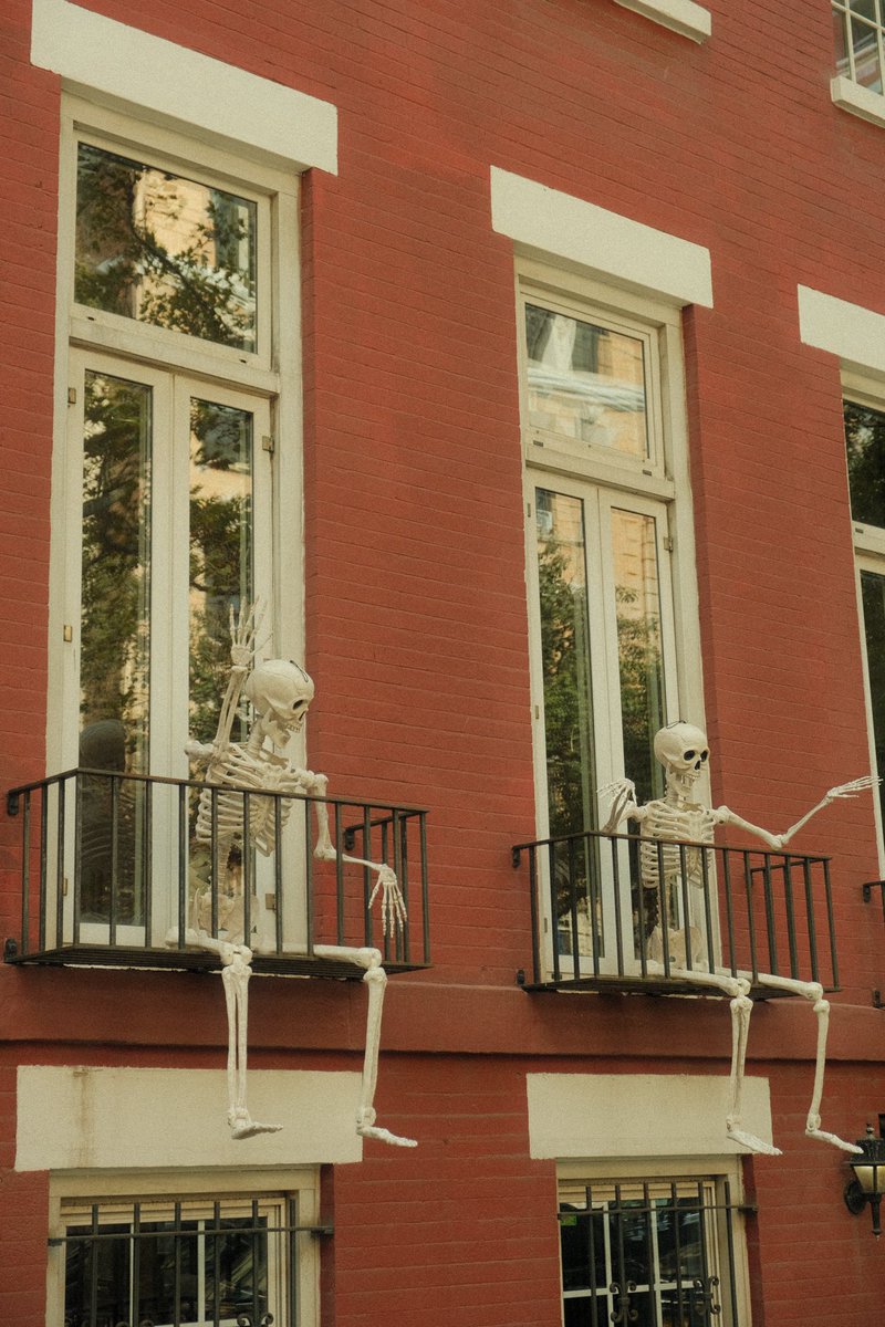 Andrea Mestre tweet media