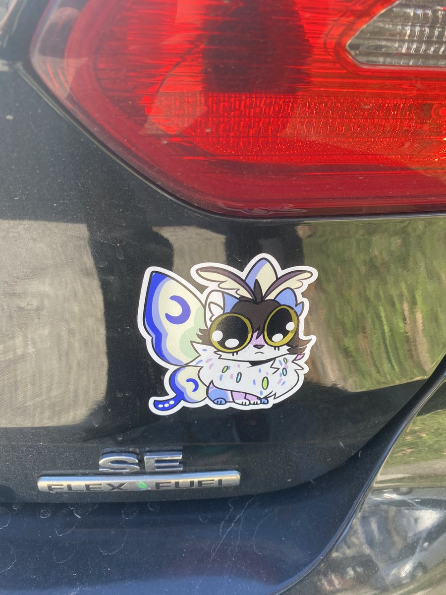 RobinSashiko's tweet photo. Get yourself some mothkitty merch and slap me on your car!

https://t.co/gadbeQGs20 https://t.co/RagorpPn4u