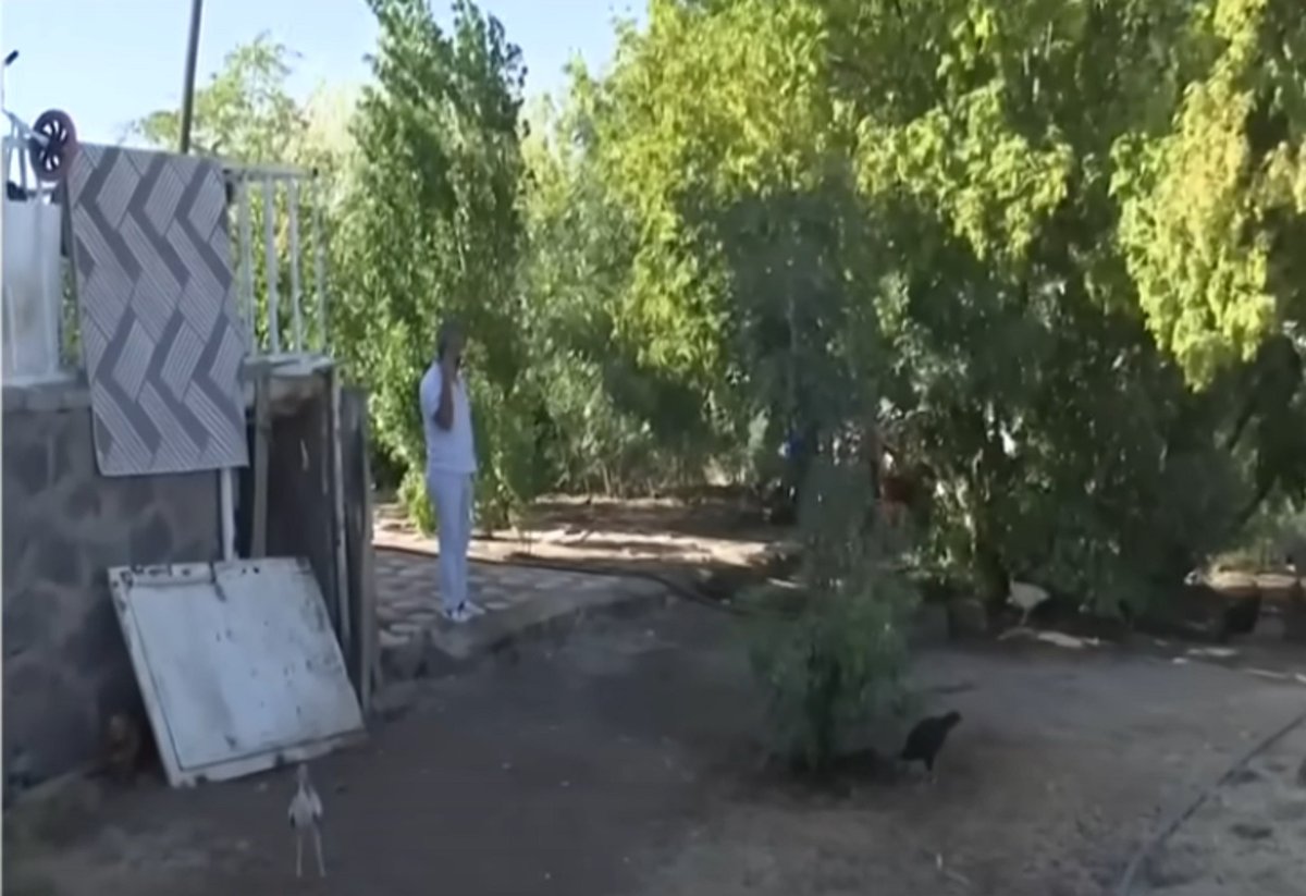 Narin nasıl katledilmiş,  kanıtlar nasıl yok edilmiş işte gerçek deliler Arif Güran'ın balkonunda asılı duruyor. 
Kanıt yok diyen bir güruh grubu  var, kıyafetler halılar  yıkanmadı diyen bir çevre var. Baba Arif Güran evde hiç bişey yıkanmadı dedi defalarca. Şimdi birileri bu