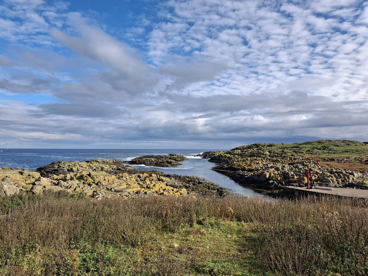 John Nadin tweet media