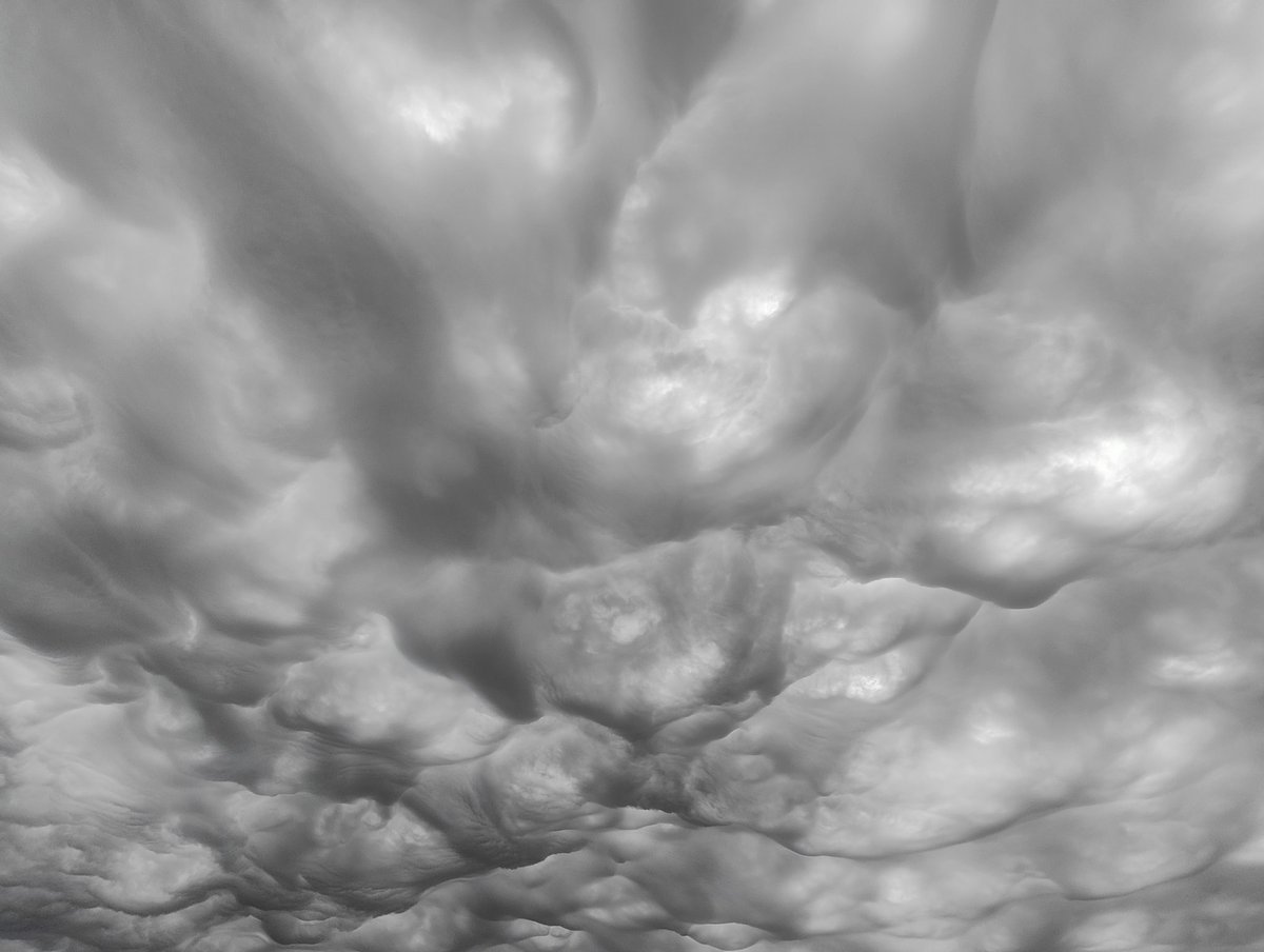 ThruNicksLens's tweet photo. Asperitas/Asperatus Undulatus clouds in Kanata!! Awesome! #onstorm https://t.co/Ea4KSbcv3p