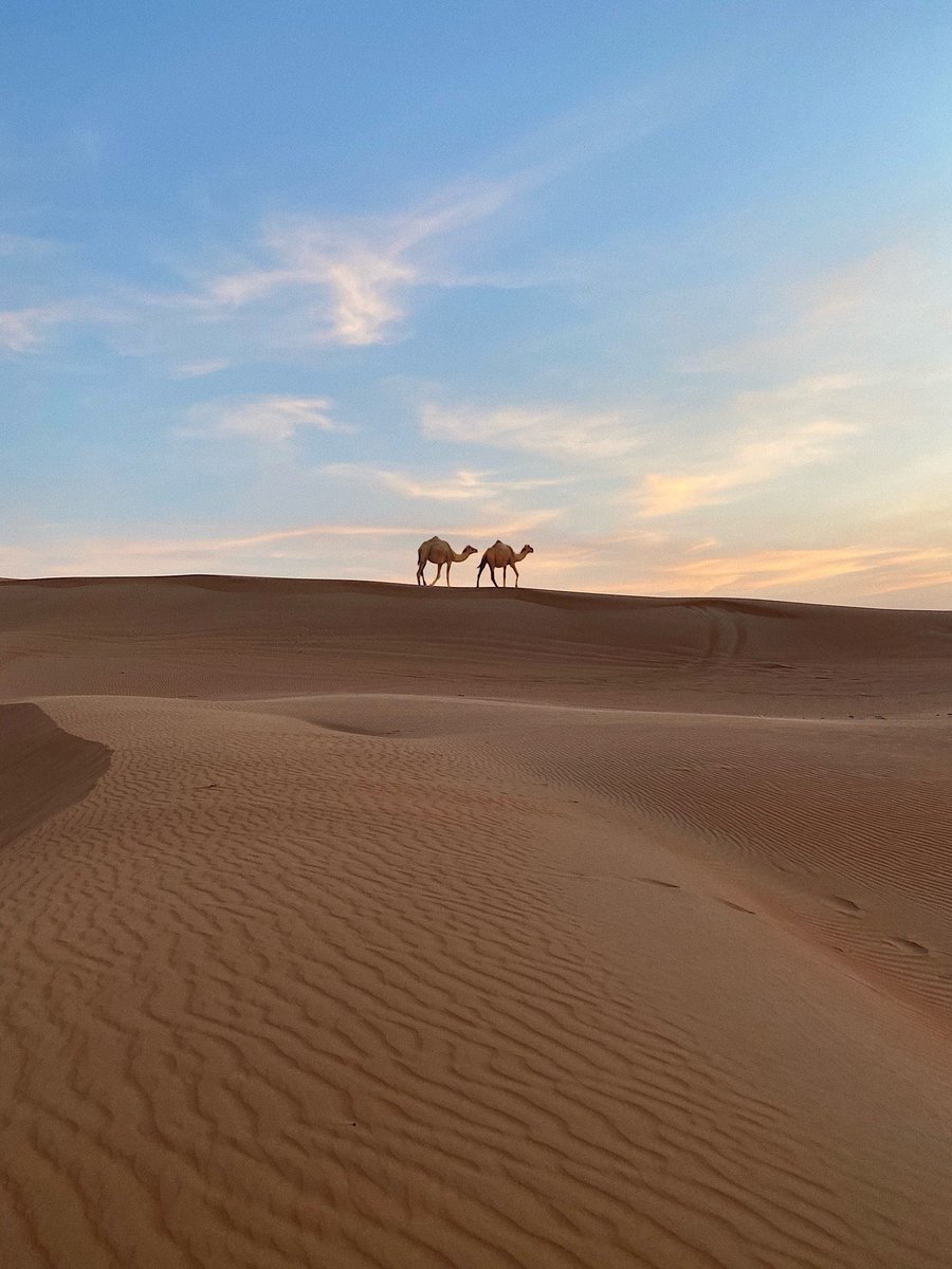 🇲🇷 الحياة البدوية