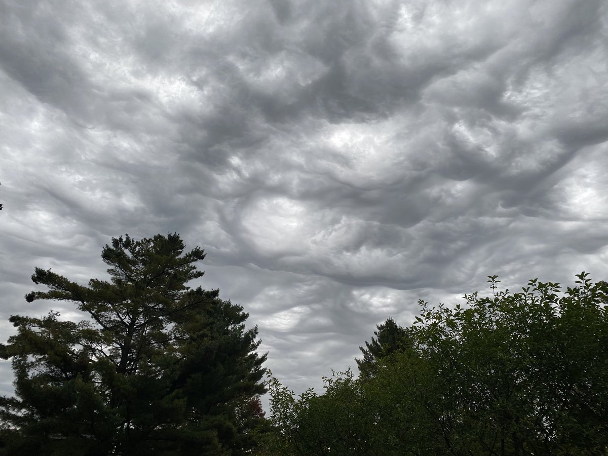 P.R. Isfeld tweet media