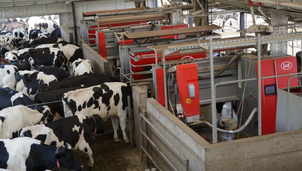 #TamboLaColorada #Robótico #LELY 
Visitamos el tambo con ordeñe voluntario robótico La Colorada en Tandil que además produce el 80% de la energía eléctrica que consume!. Promedia 35 lt/VO/d, con alimentación de precisión, poniendo bien alta la VARA de los planteos pastoriles con