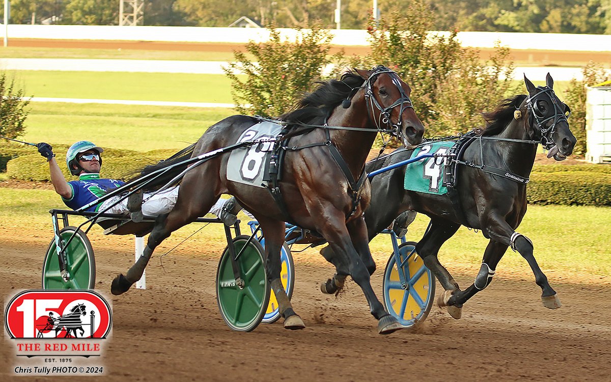 Red Mile Racetrack tweet media