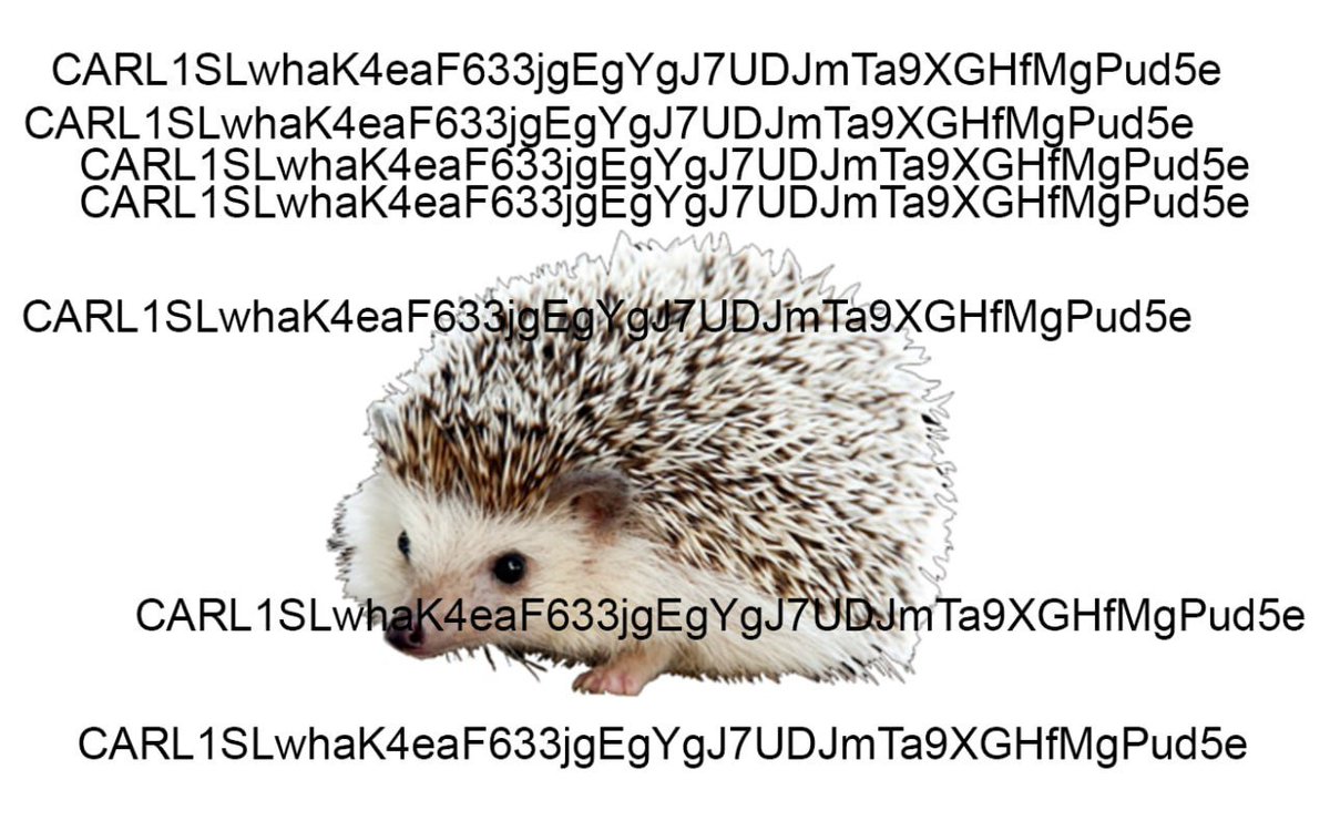 CarlCommunity's tweet image. $carl was always coded