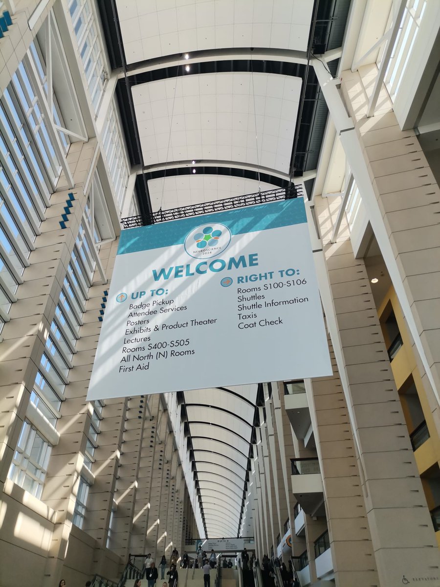 🔉Our two PhD students, @AnaRitaMendes13 and <a href="/InesCoDias/">Inês Correia Dias</a>, are presenting posters at the <a href="/SfNtweets/">Society for Neuroscience (SfN)</a> Neuroscience 2024 meeting! You can check their work, Tuesday afternoon, boards J36 and J37. 🧠🐁