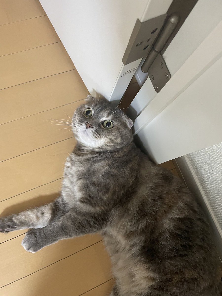 turtlecattacaci's tweet photo. 遅れましたが昨日は千葉ポートタワーでの屋外LIVEありがとうございました！
初の屋外という特殊な環境で勉強もさせてもらいました🙇
企画の#lotus_sunny さんもお疲れ様でした、素敵な機会を作って頂き感謝！ https://t.co/r7T4YJONOR