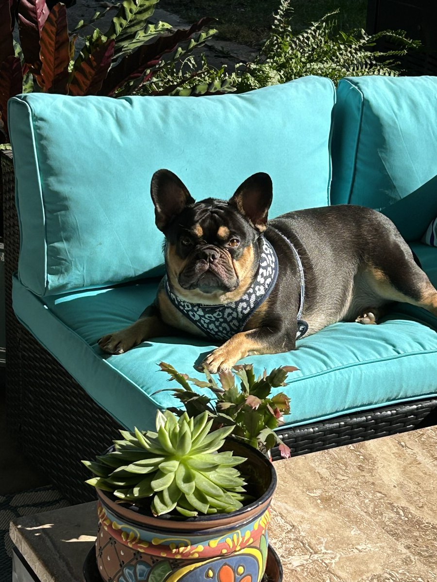 Perfect Sunday with my lil guy.