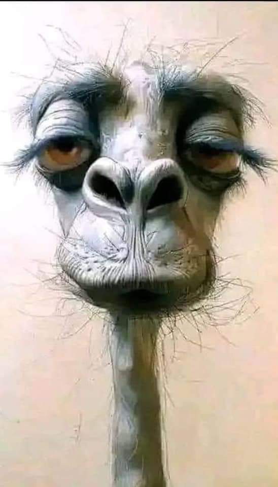 CR7_7070's tweet photo. @bahbjh ذوبي ذو بي يابريري انت  إحلم انه الانفصال جاي هههههههههههههههه https://t.co/ZpEM2KvxEi