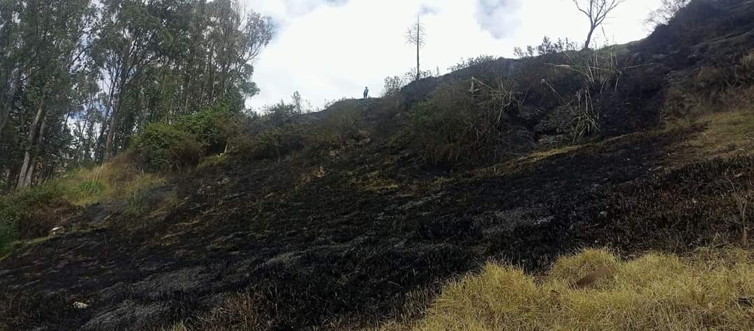 #IncendiosForestales Nuevamente ciudadanos desamprensivos inician incendio forestal poniendo en riesgo una vivienda,  nuestro personal de bomberos controlo el mismo, utilizo herramientas manuales y de sofocación.
