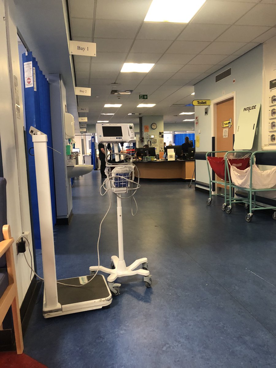 Willy Gilder tweet media