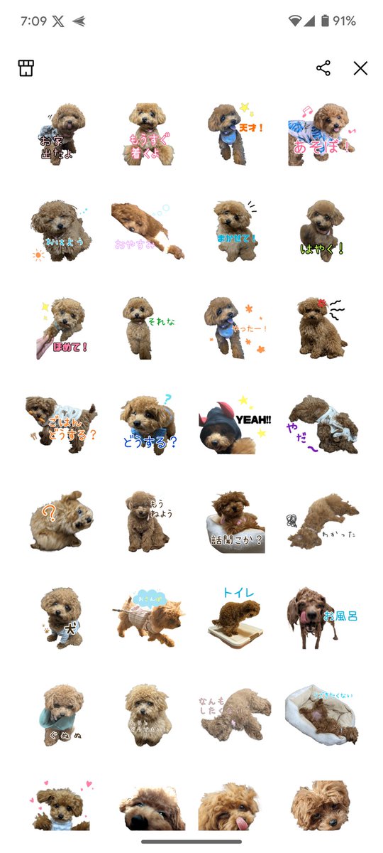 mayatopgun's tweet photo. まやちゃんのスタンプを作りました！
わんこ飼ってる人も飼ってない人も使いやすいようになってると思うので、良かったら！
https://t.co/5z7hFielev https://t.co/WEXUPb765k