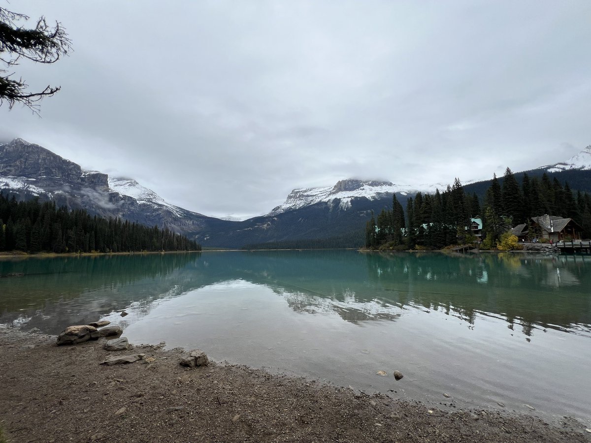 Haz_69420's tweet photo. Emerald lake, BC https://t.co/raiAbyTWzx