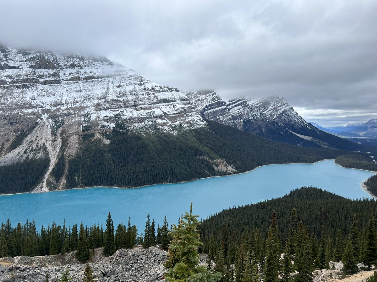 Haz_69420's tweet photo. Peyto Lake https://t.co/Y2b2STVMx5