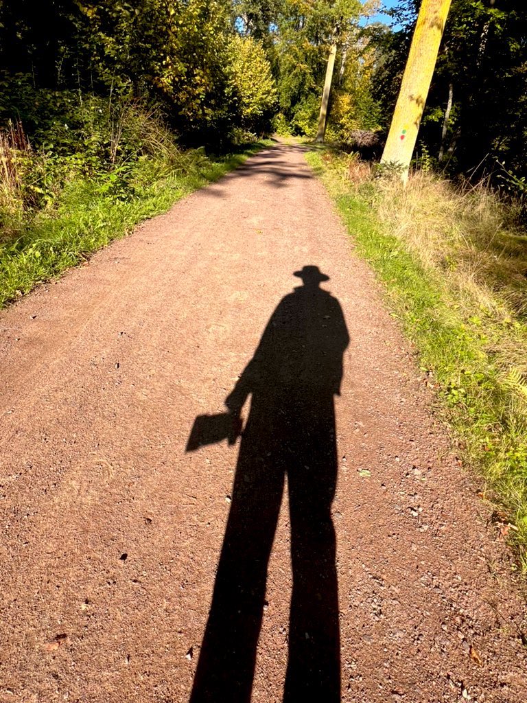 Jag är svensk. Jag är inte kines. 🧝🏻