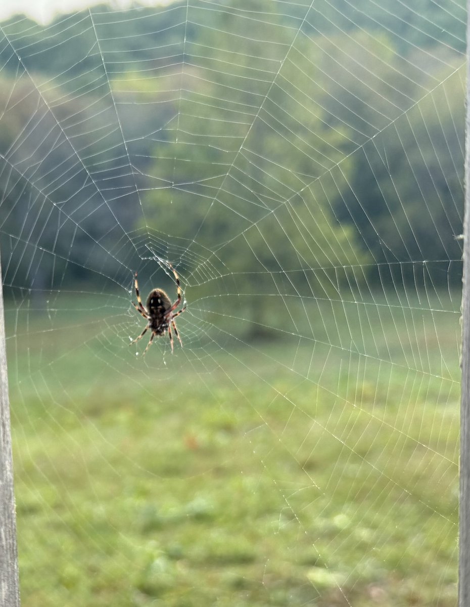 Charlie Frago tweet media