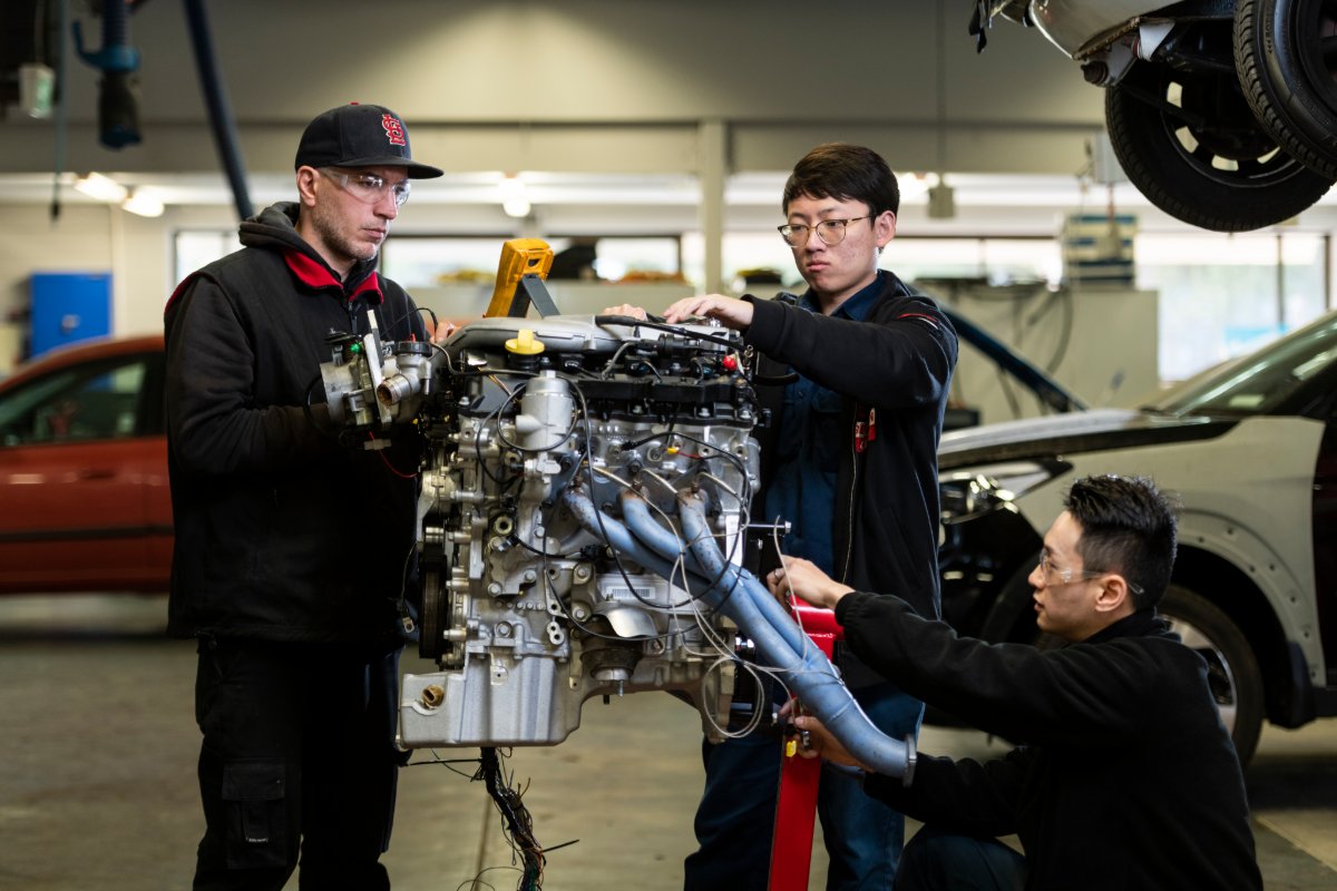 tafesa's tweet image. Happy Labour Day!

Today we celebrate the hard work of individuals across SA. At TAFE SA, we’re proud to help build the next generation of skilled professionals who keep our communities moving forward.

Go get it with TAFE SA!

#labourday #tafeSA #skills #gogetit