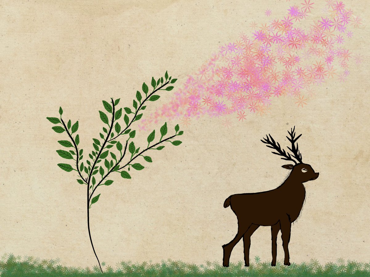 mariasforest's tweet image. Spirit of the forest