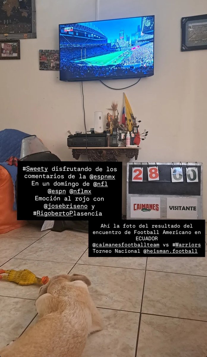 Hola <a href="/josebriseno/">José Briseño</a> <a href="/rigoplascencia/">@rigoplascencia</a>, les saluda el Coach Alex Franco desde Ecuador disfrutando del Juego #NYvsSEA de la #NFL
Entrenador en Jefe de Caimanes Football Team, Guayaquil-Ecuador.

Nuestro último juego fue contra Warriors y nos llevamos la victoria en el torneo nacional.