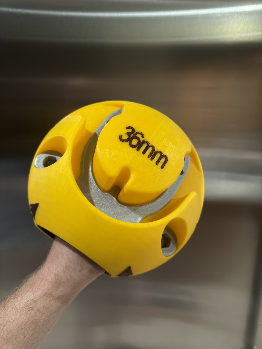 David Rigoulot tweet media