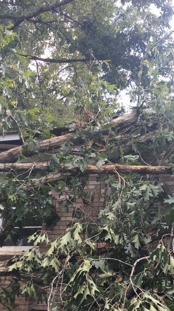 Well 9 days later and we have power back #HurricaneHelene left her mark on us still lots ahead of us but boy are we happy because tonight we can sleep in air conditioner