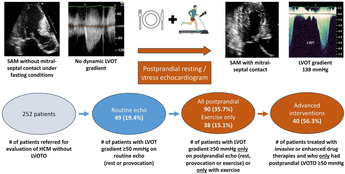Daniele Massera tweet media