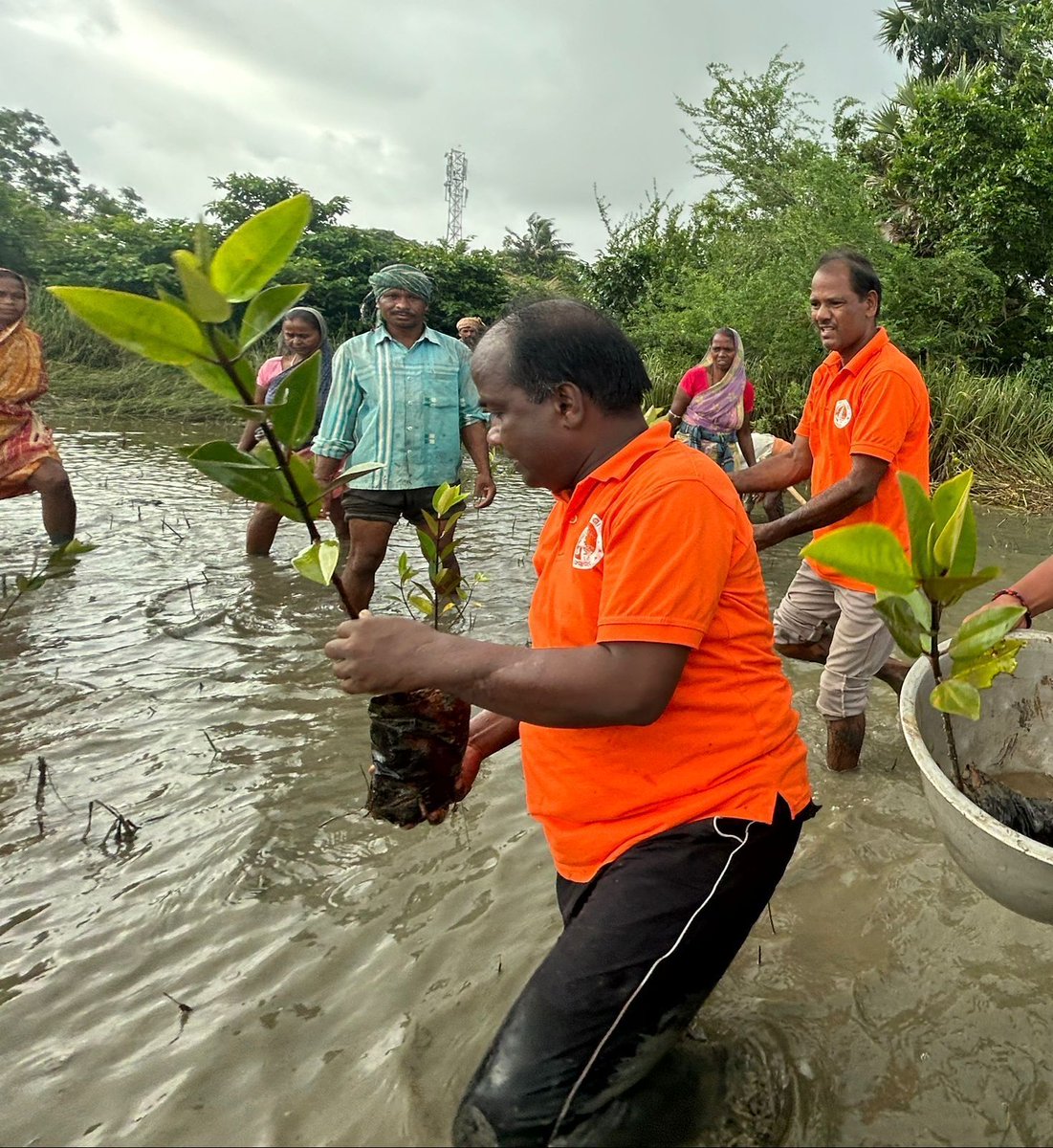 ErikSolheim's tweet photo. A politician is tackling climate change head-on by freeing wetlands from encroachment and personally restore mangroves in🇮🇳. Meet Dibakar Chhatoi from Puri District, who, alongside his Team Sabuja Sakha has planted 2,100mangroves, inspiring true Climate Leadership. https://t.co/felI2oQXfo