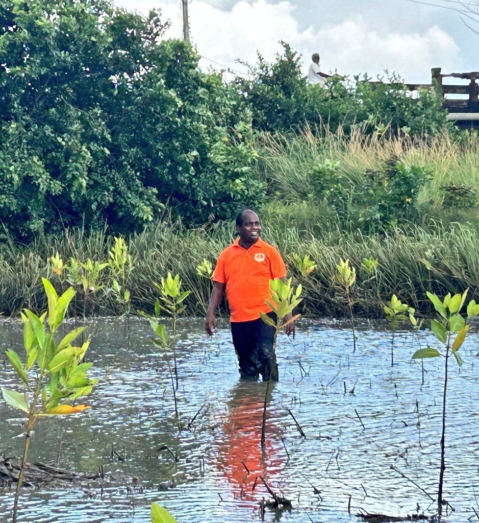 ErikSolheim's tweet photo. A politician is tackling climate change head-on by freeing wetlands from encroachment and personally restore mangroves in🇮🇳. Meet Dibakar Chhatoi from Puri District, who, alongside his Team Sabuja Sakha has planted 2,100mangroves, inspiring true Climate Leadership. https://t.co/felI2oQXfo