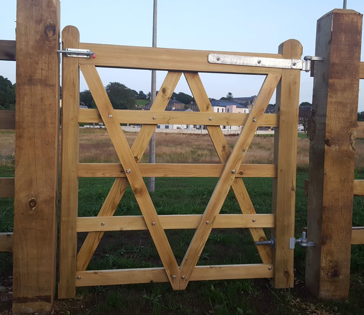 Fifteenth Lodge of Ireland tweet media