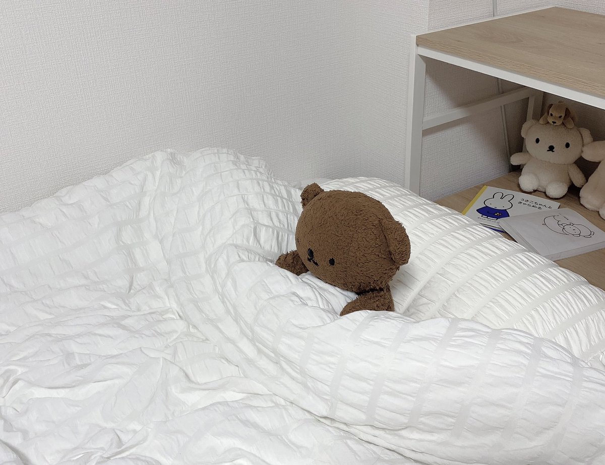 borichan__'s tweet photo. にどねしたいよね https://t.co/NnTnZEY2PA