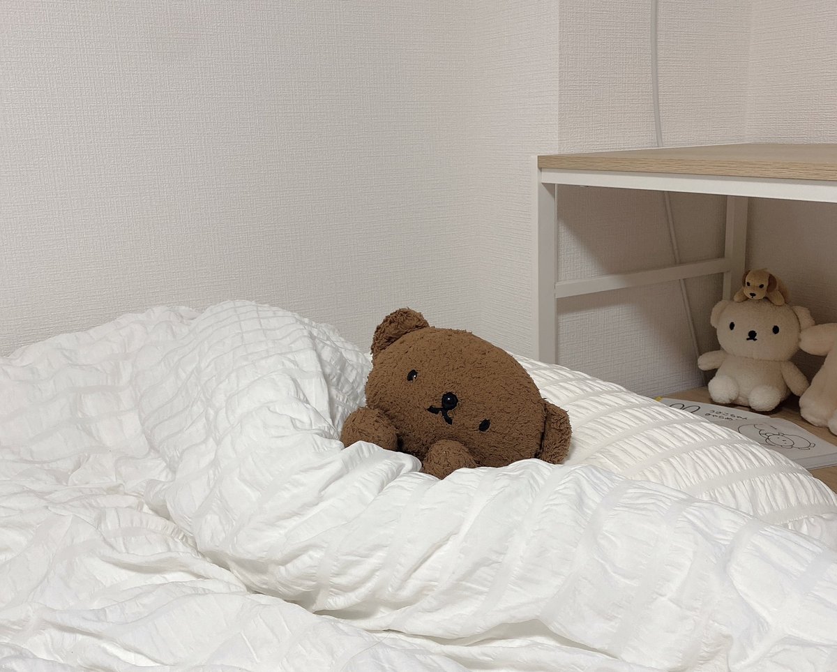 borichan__'s tweet photo. にどねしたいよね https://t.co/NnTnZEY2PA