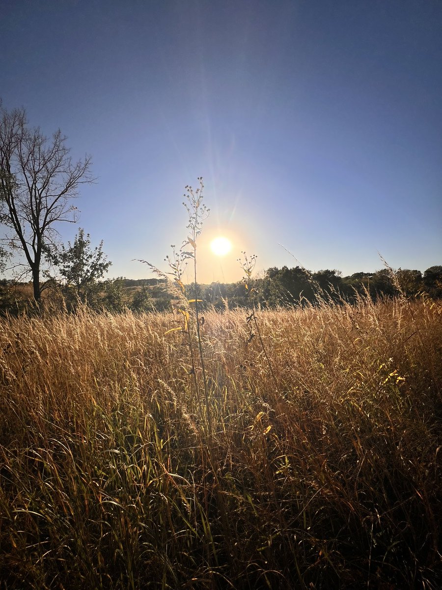 Will never forgive <a href="/MatthewKlam/">Matthew Klam</a> for completely destroying me on my evening walk. Listened to him reading this story on the <a href="/NYerFiction/">New Yorker Fiction</a> podcast and had to sit down on a log to sob