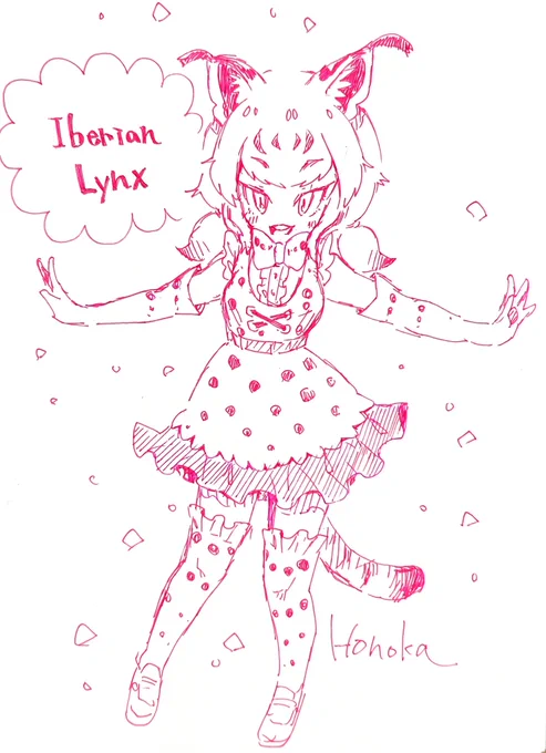 ネコさんフレンズ🐾 