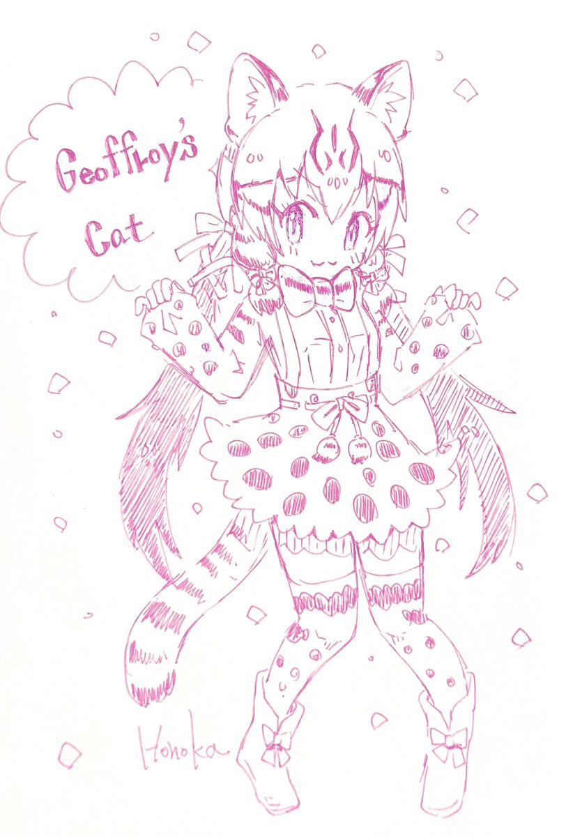 ネコさんフレンズ🐾 