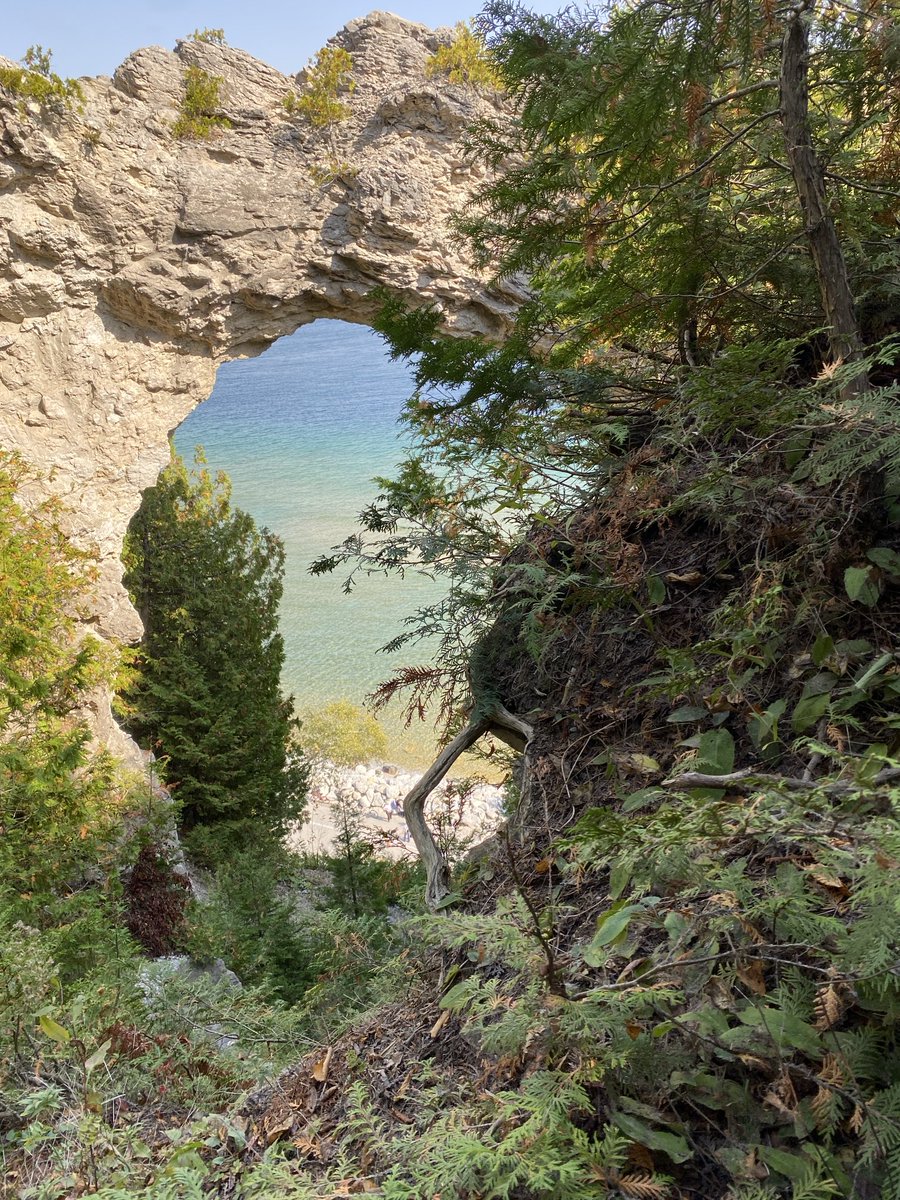 Mandy Pajerski tweet media