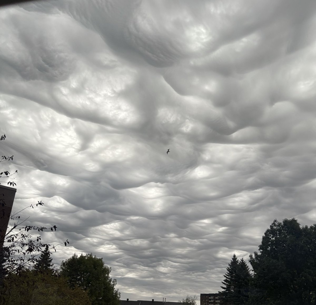 Robitaille2011's tweet photo. Interesting clouds! #ottawa #weathernetwork https://t.co/Rp9gZ54GEq